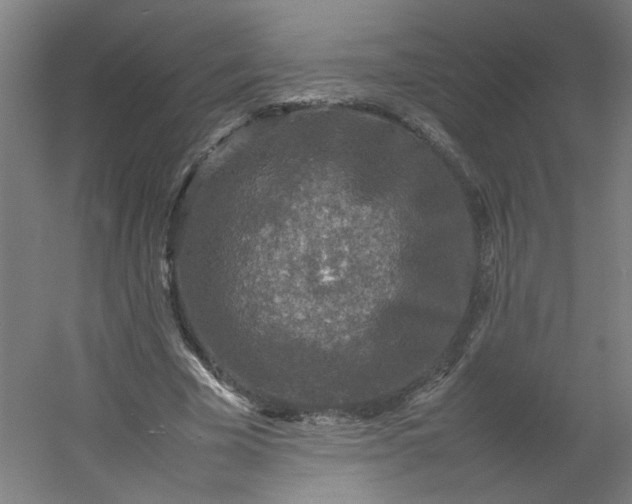 X0000054370585200508121542