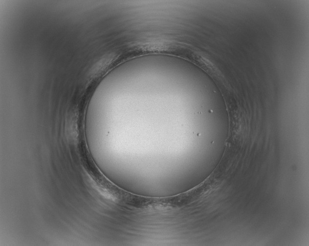 X0000054370586200508121542