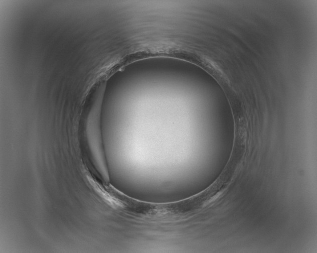 X0000054370589200508121542