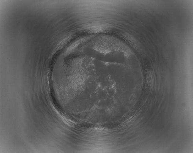 X0000054370590200508121542