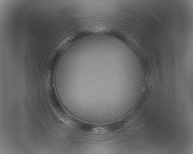 X0000054370591200508121542