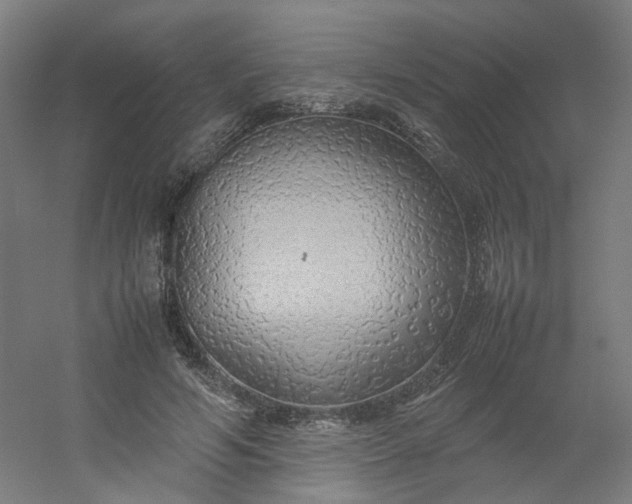 X0000054370594200508121542