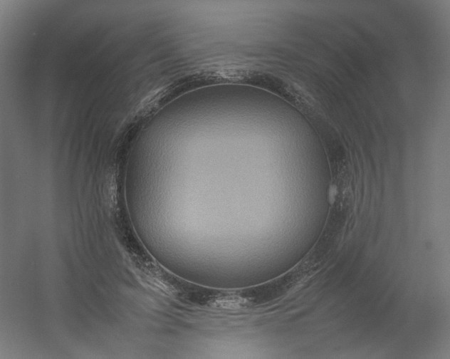 X0000054370595200508121542