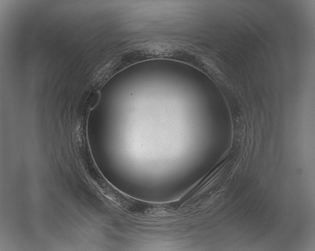 X0000054370597200508121542