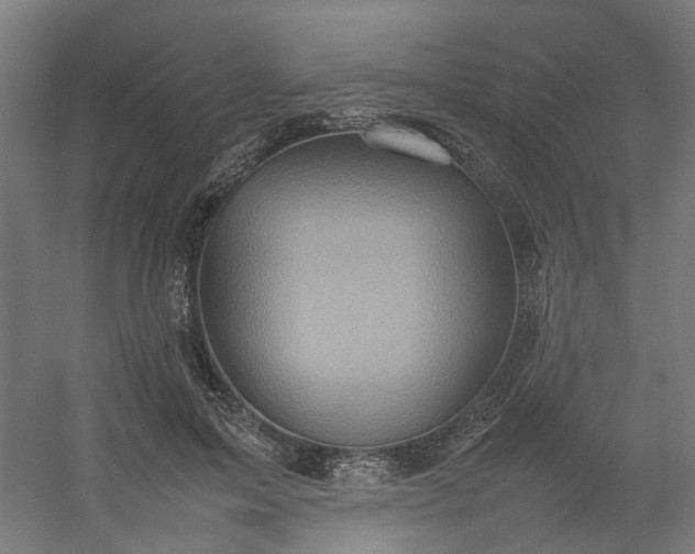 X0000054370599200508121542