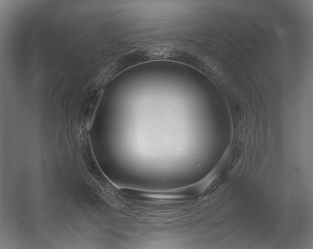 X0000054370601200508121542