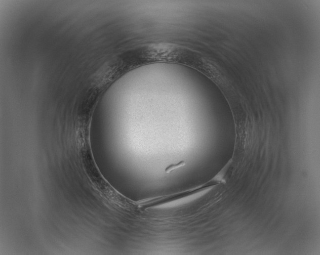 X0000054370602200508121542