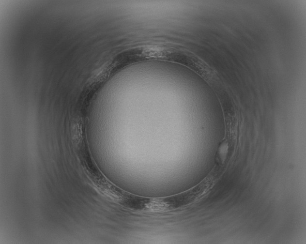 X0000054370603200508121542