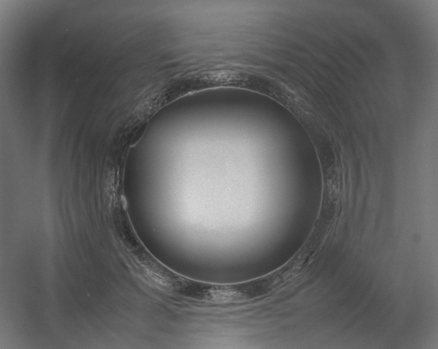 X0000054370605200508121542