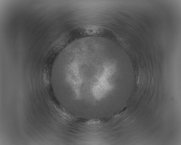 X0000054370606200508121542