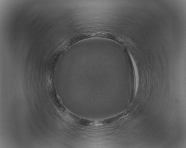 X0000054370607200508121542