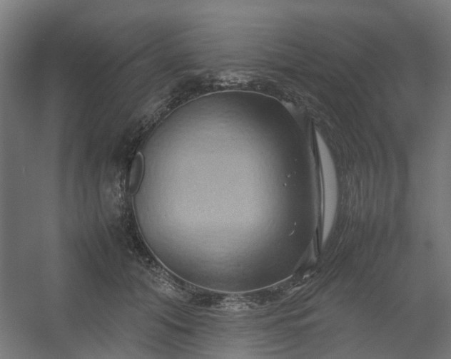 X0000054370608200508121542