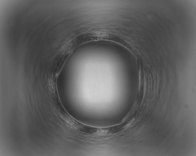 X0000054370609200508121542