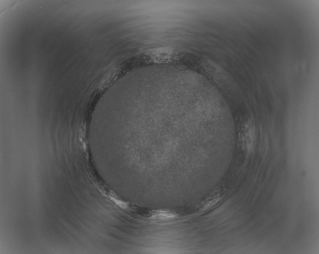 X0000054370610200508121542