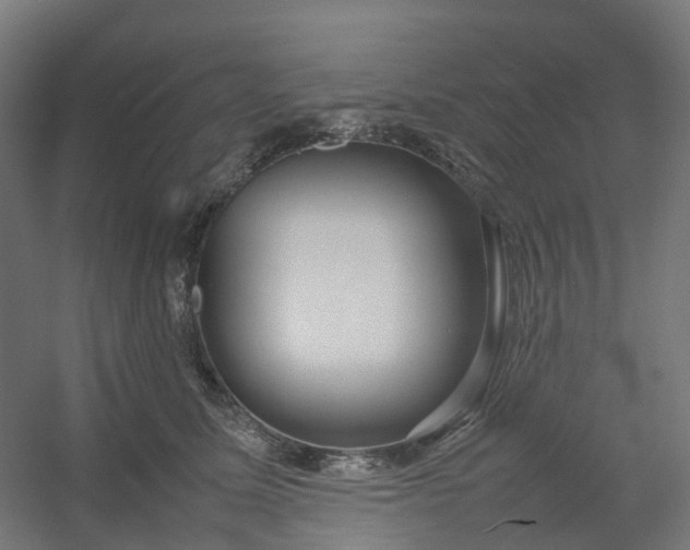 X0000054370611200508121542