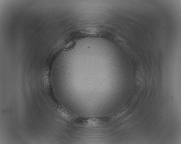 X0000054370612200508121542