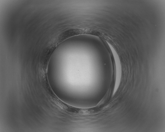 X0000054370613200508121542