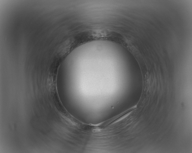 X0000054370614200508121542