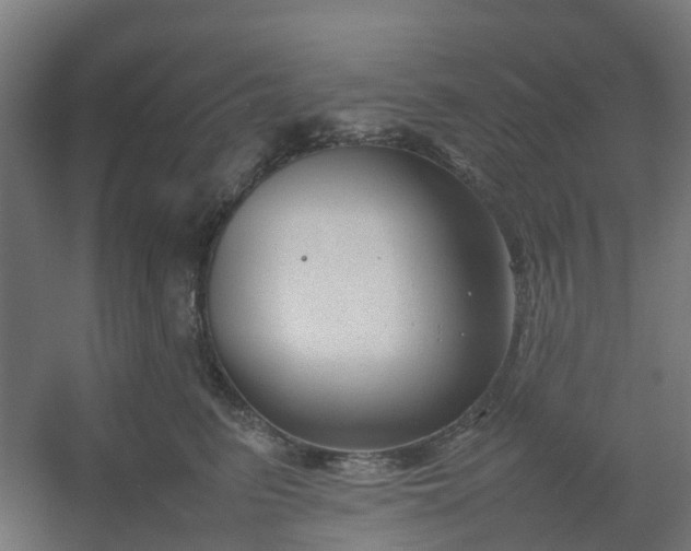 X0000054370615200508121542