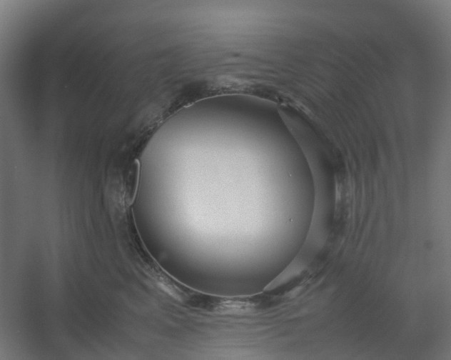 X0000054370617200508121542