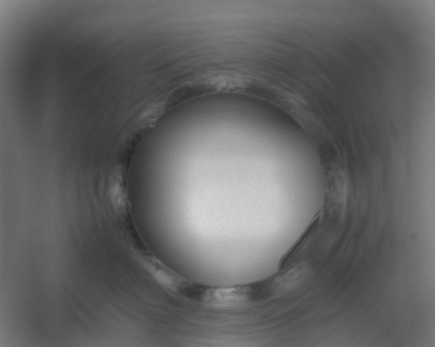 X0000054370622200508121542