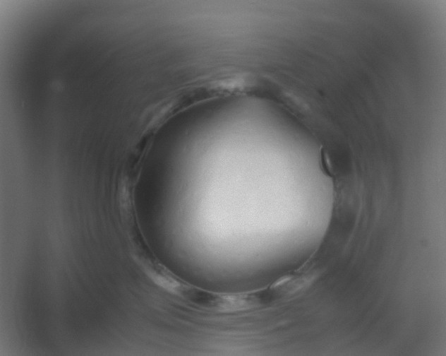 X0000054370623200508121542