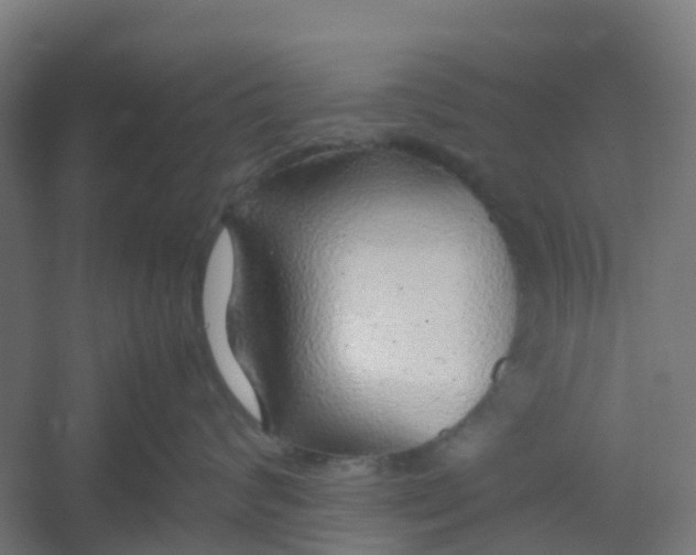 X0000054370624200508121542