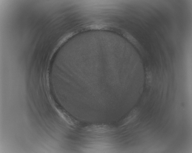 X0000054370626200508121541