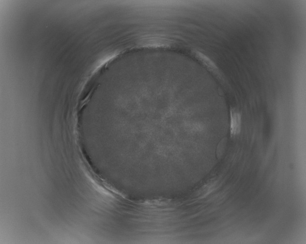 X0000054370627200508121541