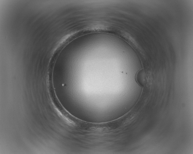 X0000054370629200508121541