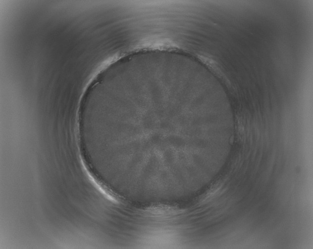 X0000054370630200508121541