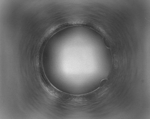 X0000054370631200508121541