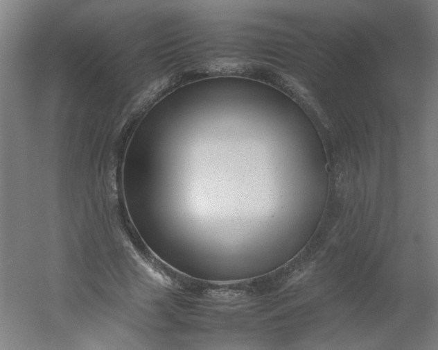 X0000054370633200508121541