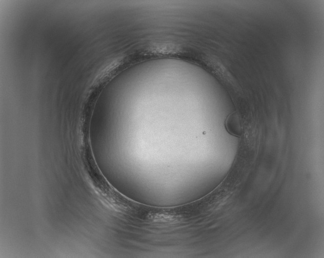 X0000054370635200508121541