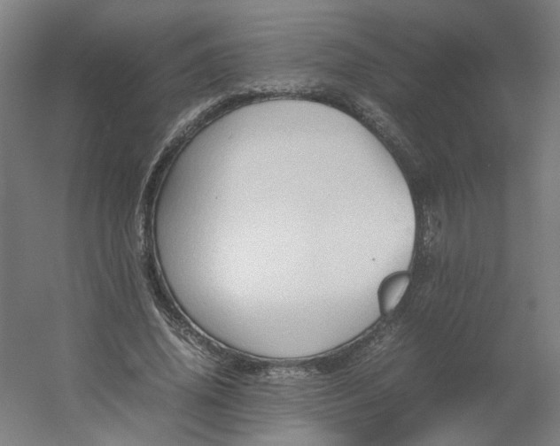 X0000054370636200508121541