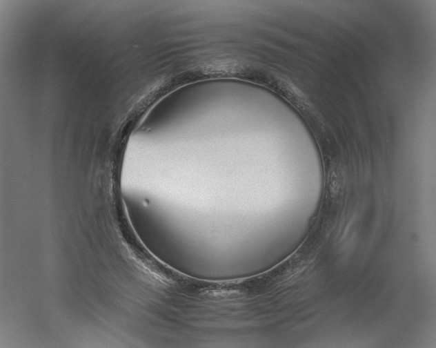 X0000054370637200508121541