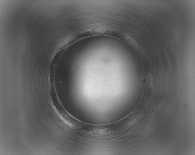 X0000054370638200508121541