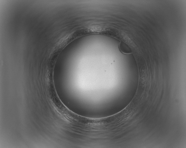 X0000054370639200508121541