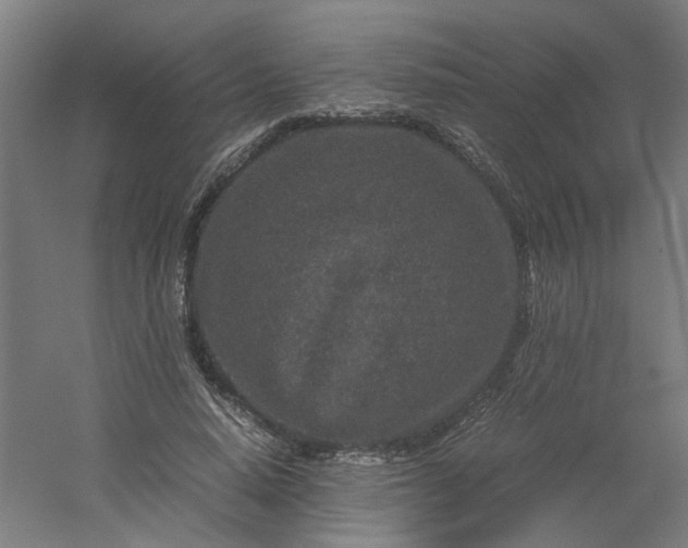 X0000054370640200508121541