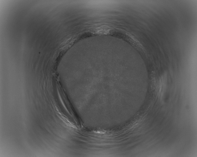 X0000054370641200508121541