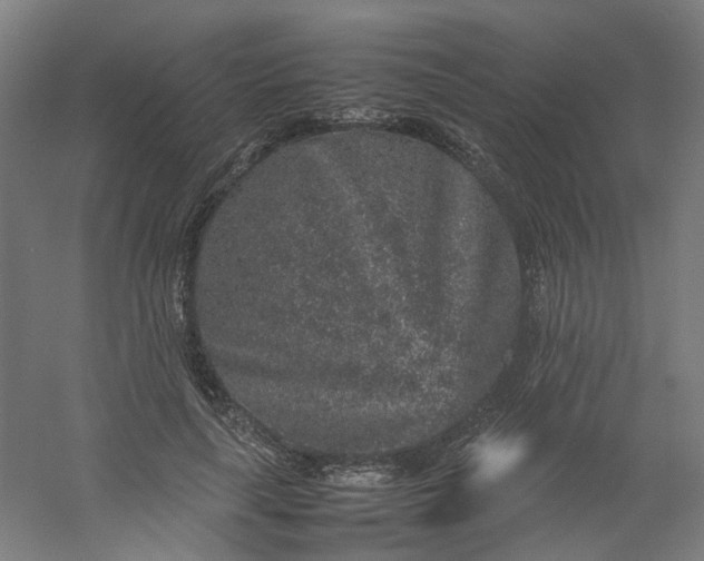 X0000054370643200508121541