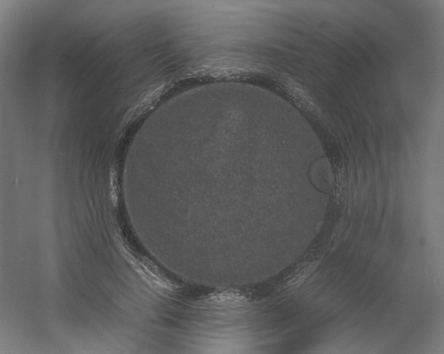 X0000054370644200508121541