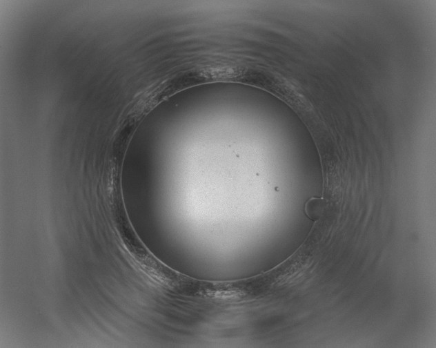 X0000054370645200508121541