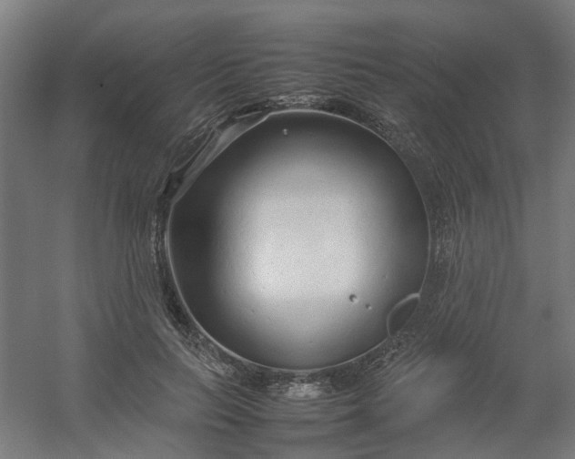 X0000054370647200508121541