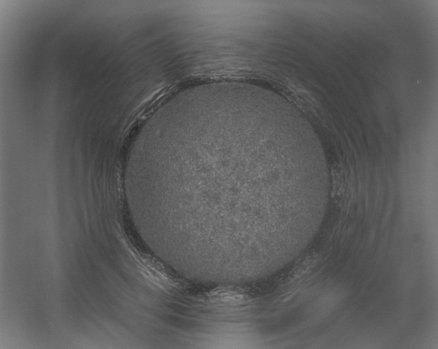 X0000054370648200508121541