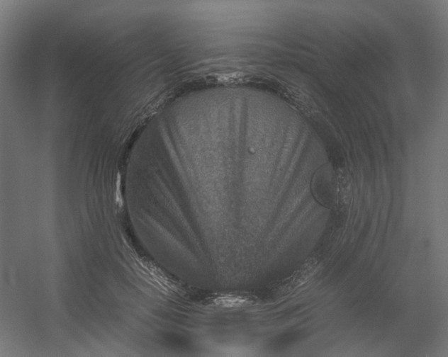 X0000054370650200508121541