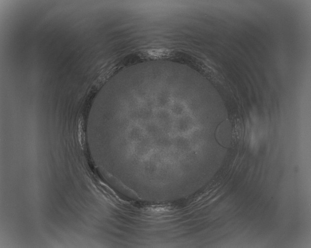 X0000054370651200508121541