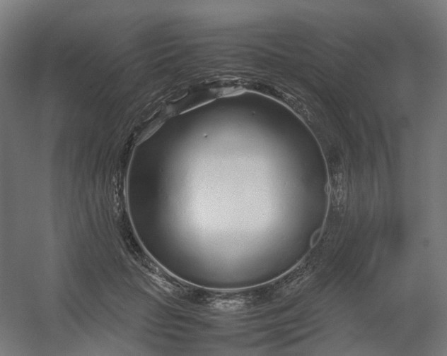 X0000054370653200508121541