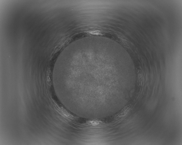 X0000054370654200508121541