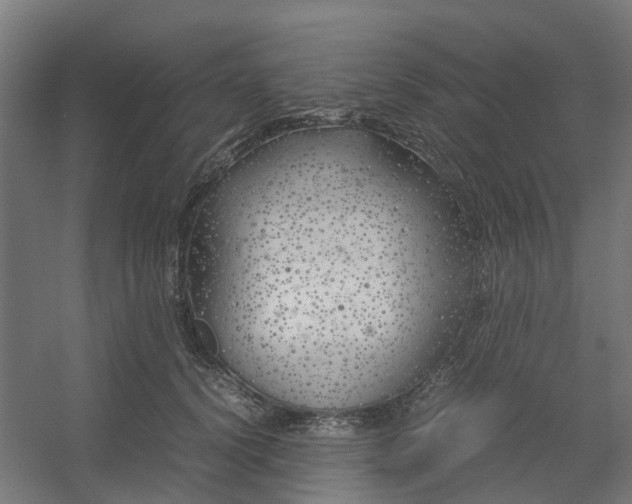 X0000054370656200508121541